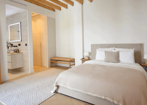 Luxurious Apartment in Palma old town for sale