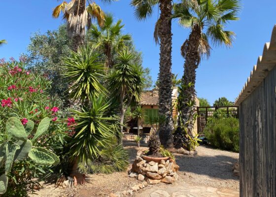 Independent house in Sa Vinyola  / Sa Rapita for sale
