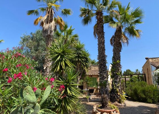 Independent house in Sa Vinyola  / Sa Rapita for sale
