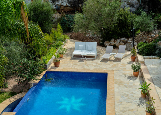 Villa in Son Vida for sale