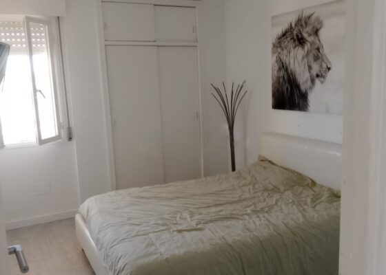 Two bedroom sea view apartment for rent in santa ponsa