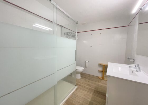 Renovated two bedroom apartment in santa ponsa for rent