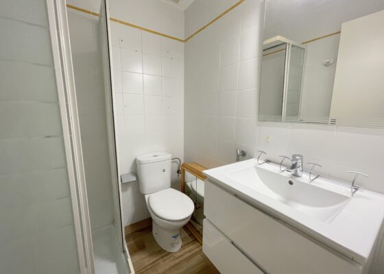 Renovated two bedroom apartment in santa ponsa for rent