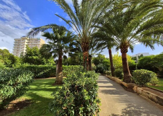 Two bedroom apartment by the ocean for sale in magaluf