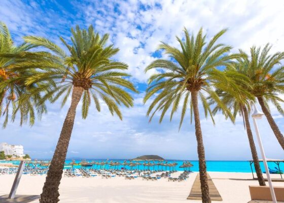 Two bedroom apartment by the ocean for sale in magaluf