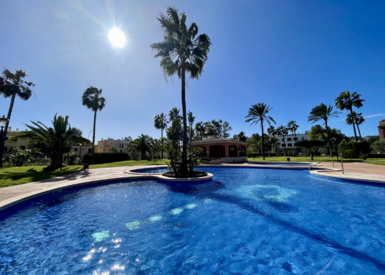 Erdgeschoss Wohnung in Anlage mit Pool in santa ponsa zu vermieten