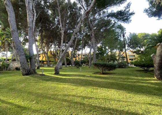 Erdgeschoss Wohnung in Nova Santa Ponsa mit Meerzugang zu verkaufen